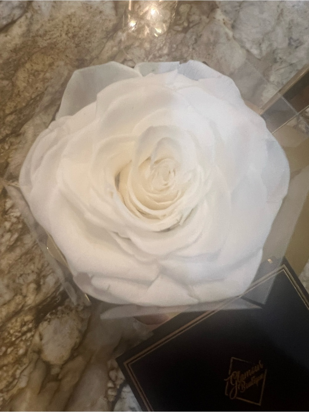 Glamour Boutique Preserved White Rose! - Picture 2 of 5